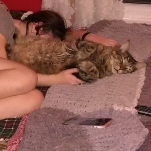 Meet your Posher, Candy